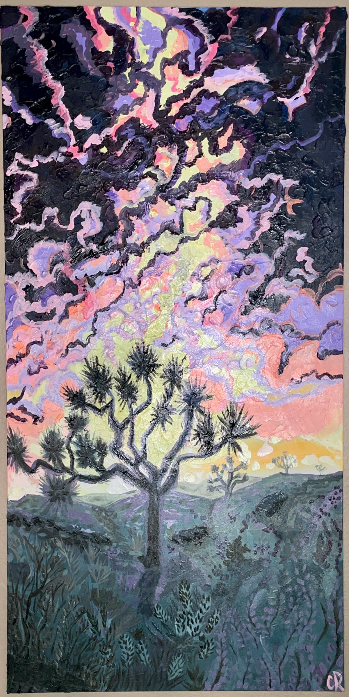 Desert Twinkle