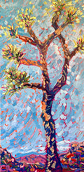 Joshua Tree Solo