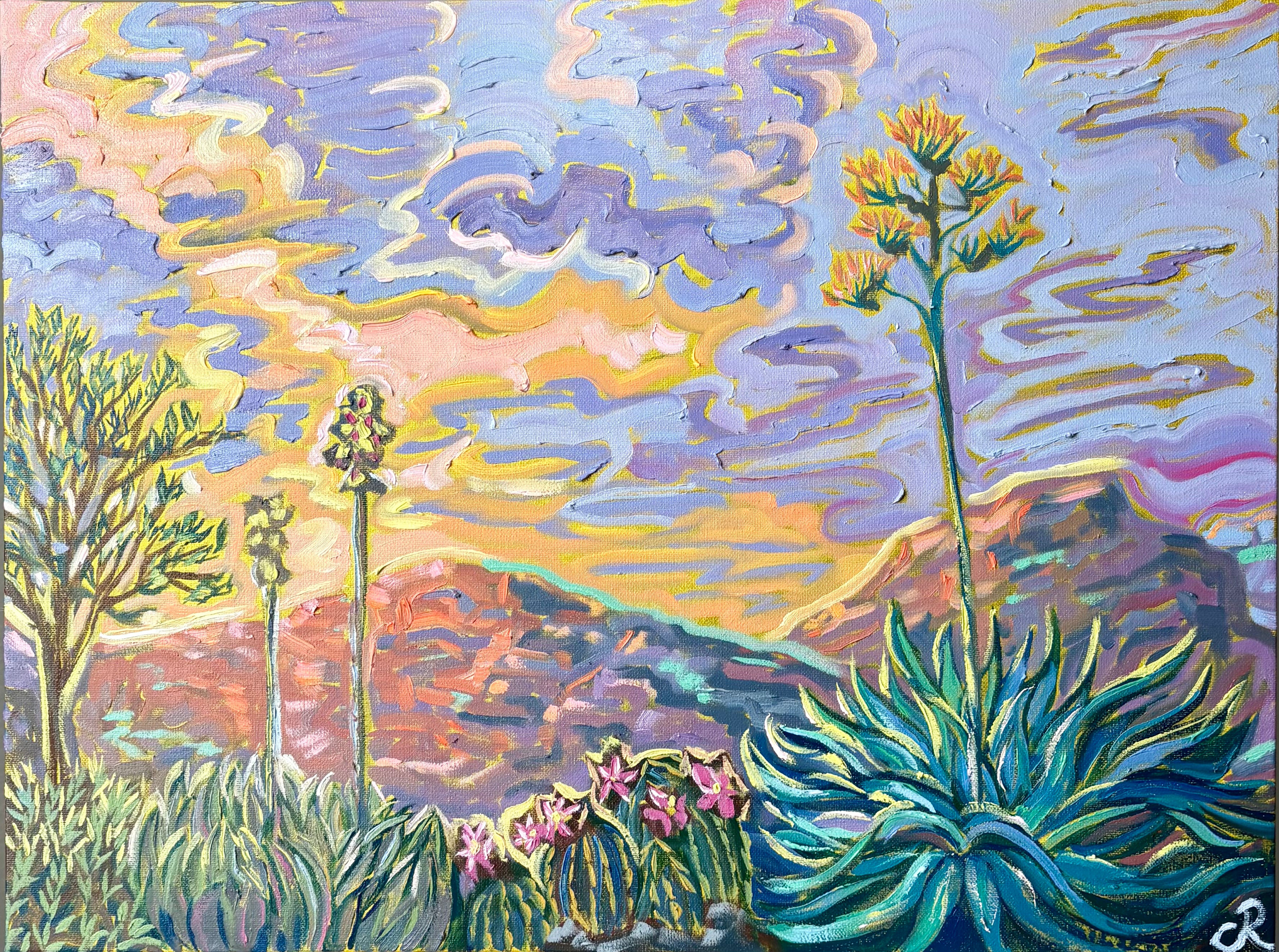 Agave Sunset