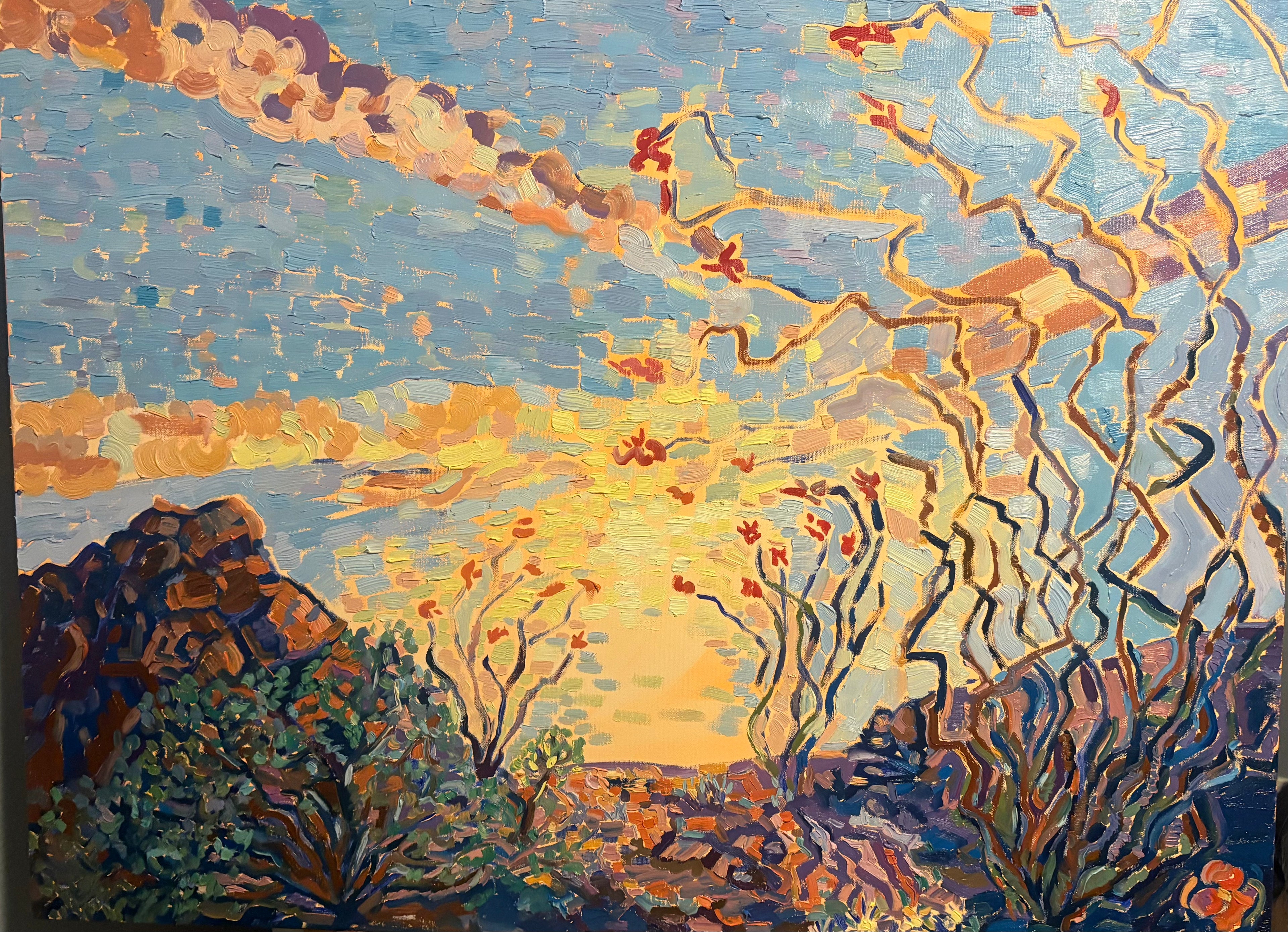 Ocotillo Sky