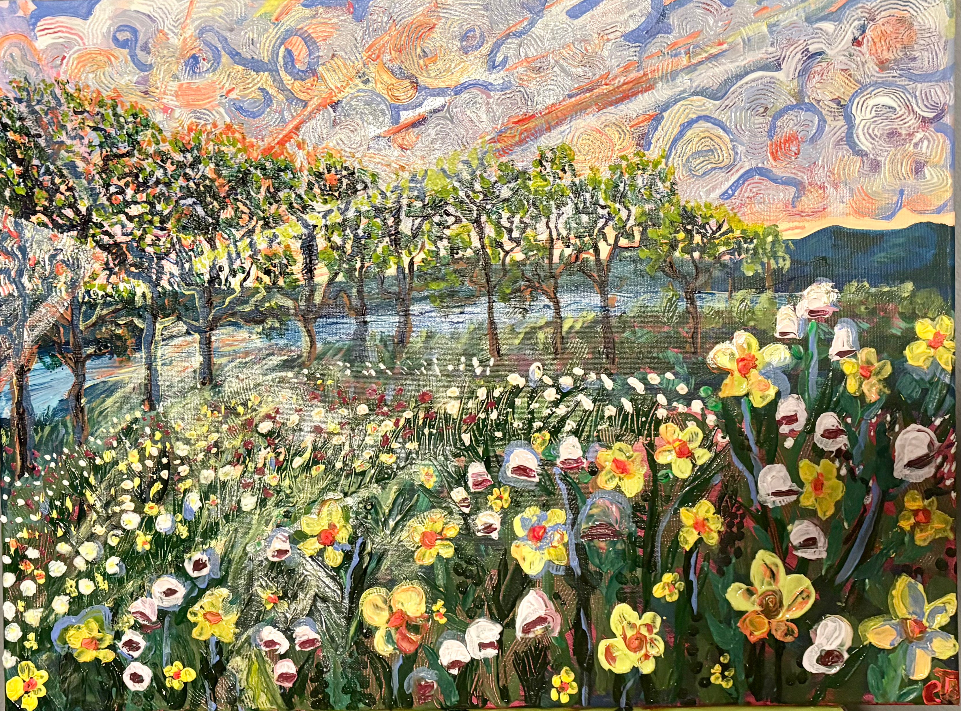 Otay Blooms